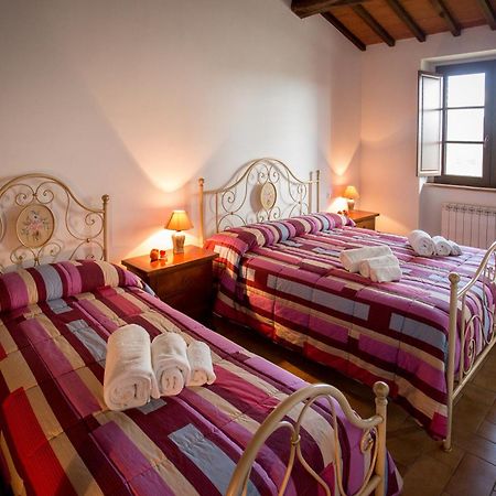 Agriturismo La Collina Del Sole Coltavolino Zewnętrze zdjęcie