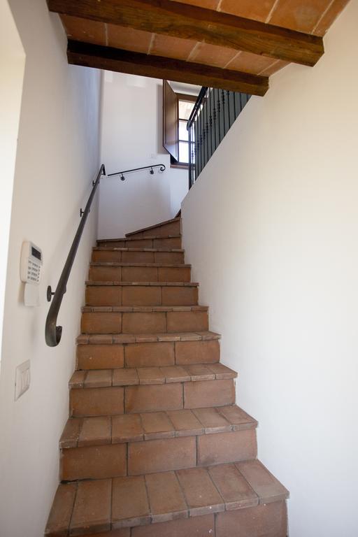 Agriturismo La Collina Del Sole Coltavolino Zewnętrze zdjęcie